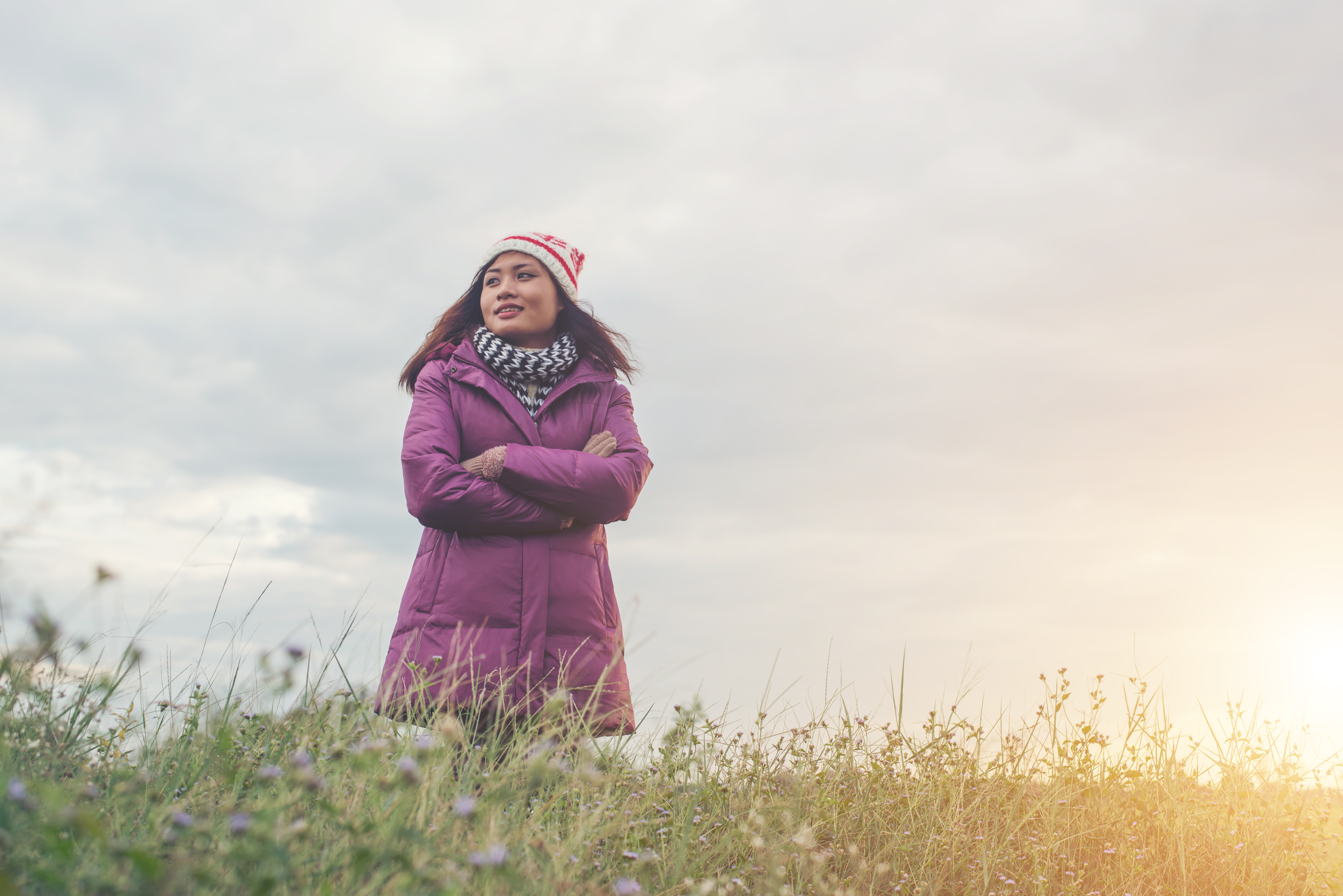 Menopause Wellness
